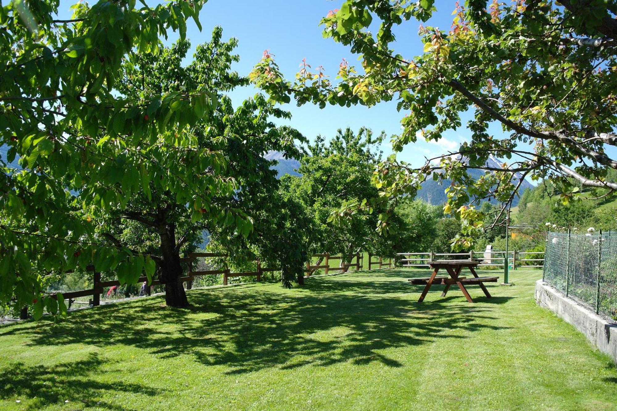 Le Vieux Noyer - Appartamenti Al Verde Villaggio Di Rumiod Saint-Pierre Exterior foto